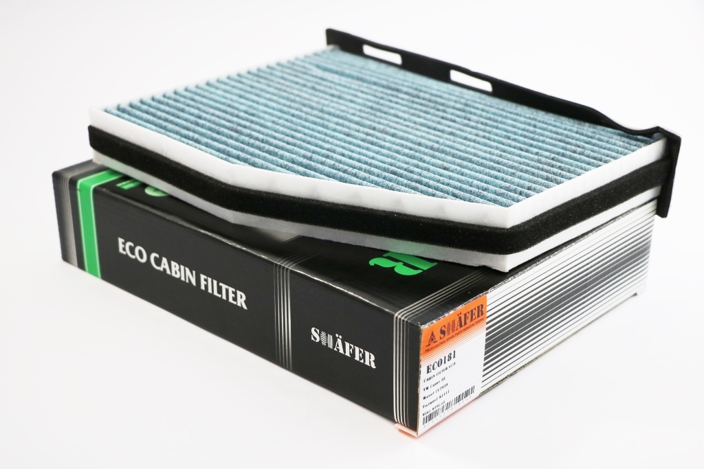 ECO181 Shafer